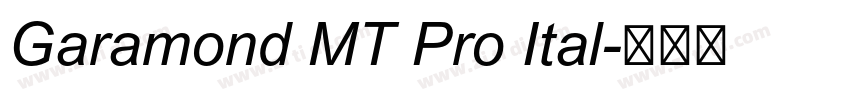 Garamond MT Pro Ital字体转换